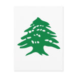 Green Lebanon Cedar Postcards