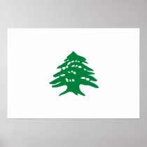 Green Lebanon Cedar Tree Flag Posters