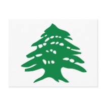 Green Lebanon Cedar Tree Post Cards