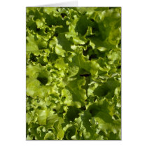 Green lettuce cards