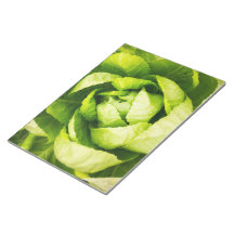 Green Lettuce Leaves With Raindrops Note Pad