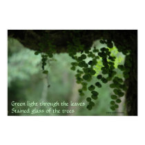 Green light through leaves - Poster with Quote posters