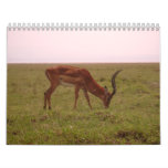 Green & Live Wall Calendar