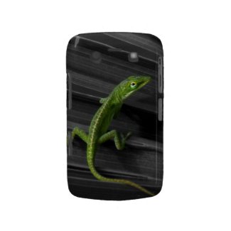 Green Lizard Blackberry Bold Case casematecase