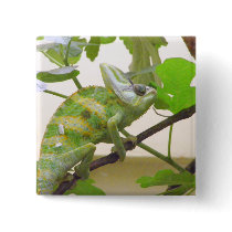 Green Lizard buttons