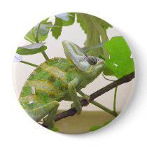 Green Lizard buttons