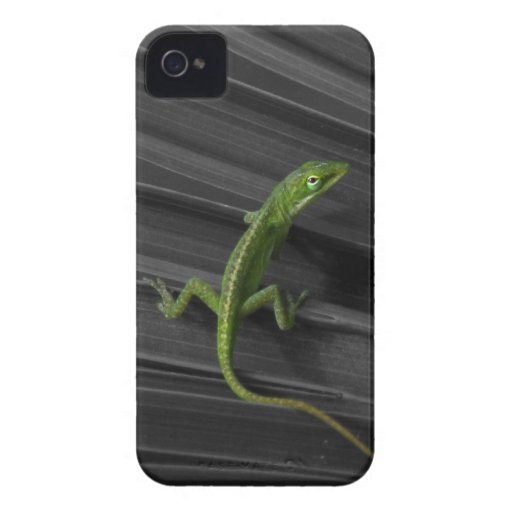 Green Lizard iPhone 4 Barely There Case Case-Mate iPhone 4 Case