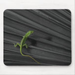 Green Lizard Mousepad