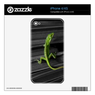 Green Lizard Phone Decal Skin Skins For The Iphone 4s