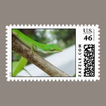 Green Lizard postage