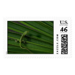 Green Lizard Postage Stamp