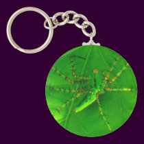 Green Lynx Spider keychains