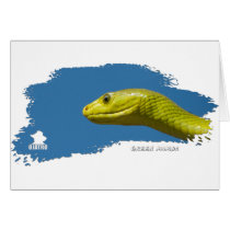 Green Mamba 01 Cards