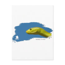 Green Mamba 01 Postcards