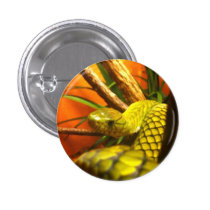 Green Mamba buttons