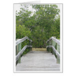 Green mangrove background, dock leading in cards