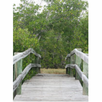 Green mangrove background, dock leading in photo cutout