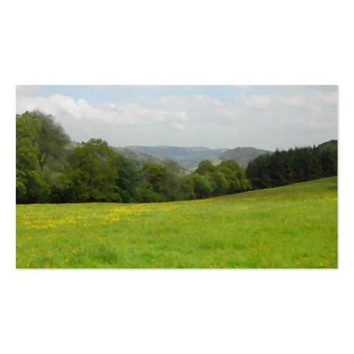 Green meadow. Countryside scenery. Business Cards (back side)