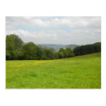 Green meadow. Countryside scenery. Post Cards