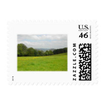 Green meadow. Countryside scenery. Postage Stamp