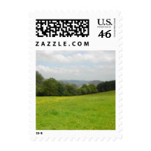 Green meadow. Countryside scenery. Stamp