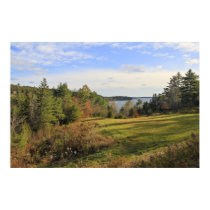 Green Meadow Views Posters