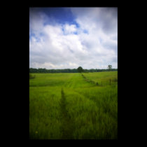 green meadows dream print posters