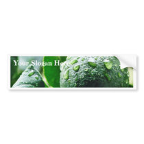 Green Meyer Lemon bumper stickers by lifesphere Green Meyer Lemon bumper stickers