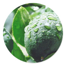 Green Meyer Lemon stickers by lifesphere Green Meyer Lemon stickers
