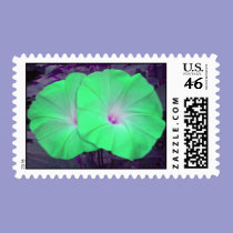 Green Morning Glory Duo postage stamps