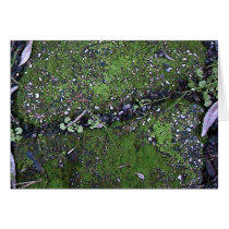 Green moss cards