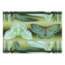 Green moth ~ ATC business cards