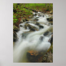 Green Mountain Forest Stream on Appalachian Trail. Posters