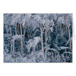 Green Mountain Winter Cards
