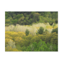 Green Mountains in Spring Post Cards