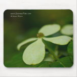 Green! mousepads
