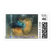 Green Mustard Gas CrownTail Betta Male Postage Stamp