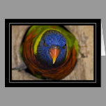 Green-Naped Lorikeet Blank Card