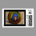 Green-Naped Lorikeet Postage stamps