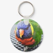 Green Naped Lory Keychain
