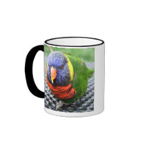 Green Naped Lory Mug