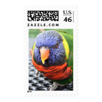 Green Naped Lory Postage postage