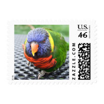 Green Naped Lory Postage Stamps