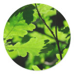 Green Nature Round Sticker