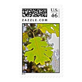 Green Oak Leaf HDR Postage Stamp
