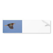 Green on Blue Bumper Sticker