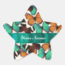 Green & orange butterflies star sticker