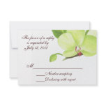 green, orchids, orchid, wedding, spring, wedding