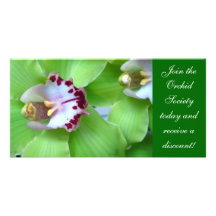 Green Orchids photo cards