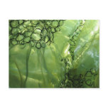 Green Organza